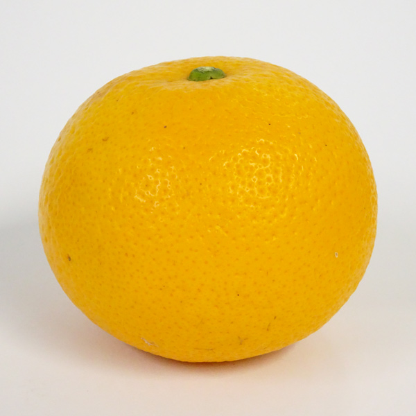 みかん屋のはっさく