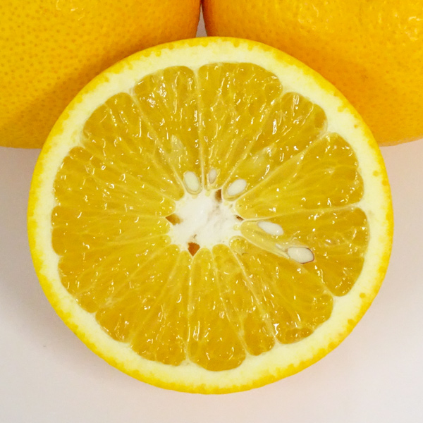 みかん屋のはっさく