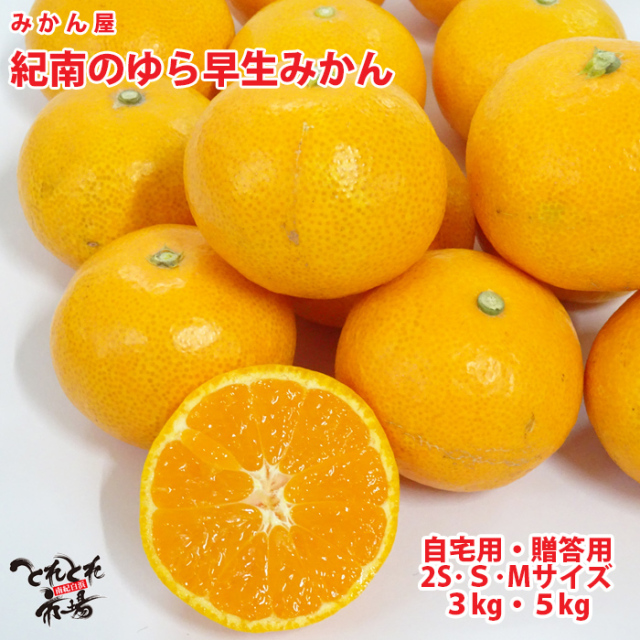 みかん屋のゆら早生みかん（和歌山県紀南のゆら早生みかん）自宅用