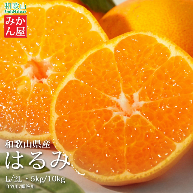 みかん屋のはるみ　L・2L