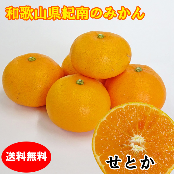 みかん屋のせとか