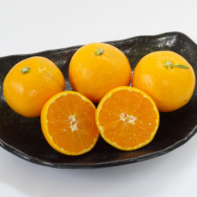 みかん屋_早生みかん