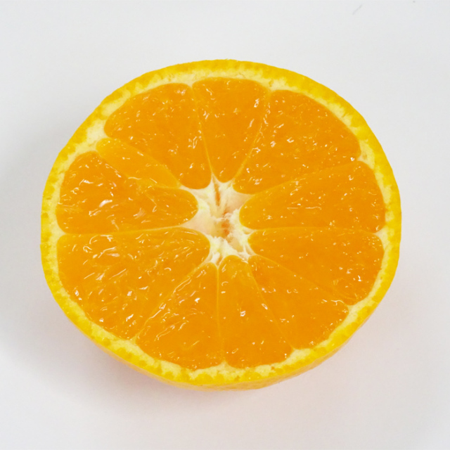 みかん屋_早生みかん