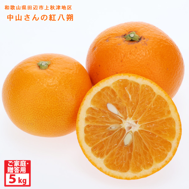 中山さんの紅八朔