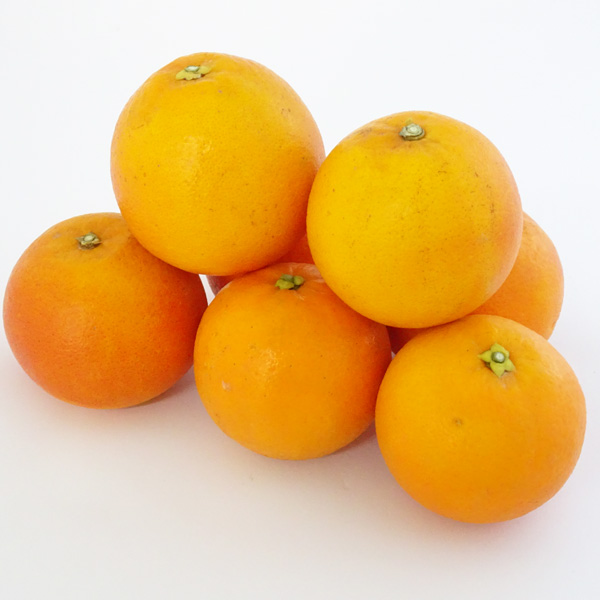 中山さんのブラッドオレンジ