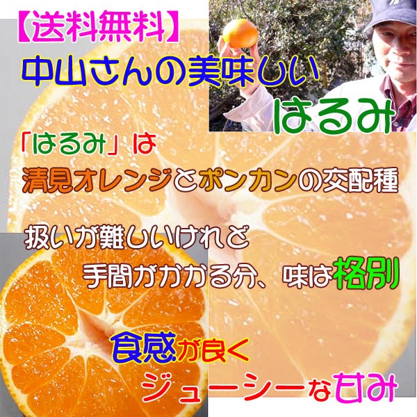 中山さんのはるみ