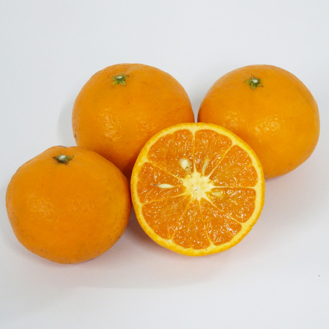 中山さんのなつみ