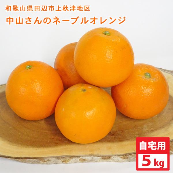 中山さんのネーブル