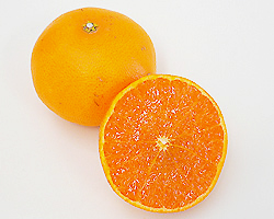 中山さんのせとか