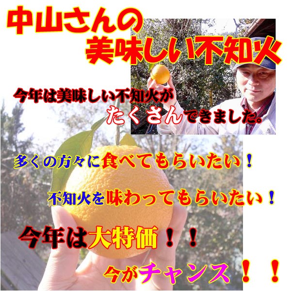 中山さんの不知火