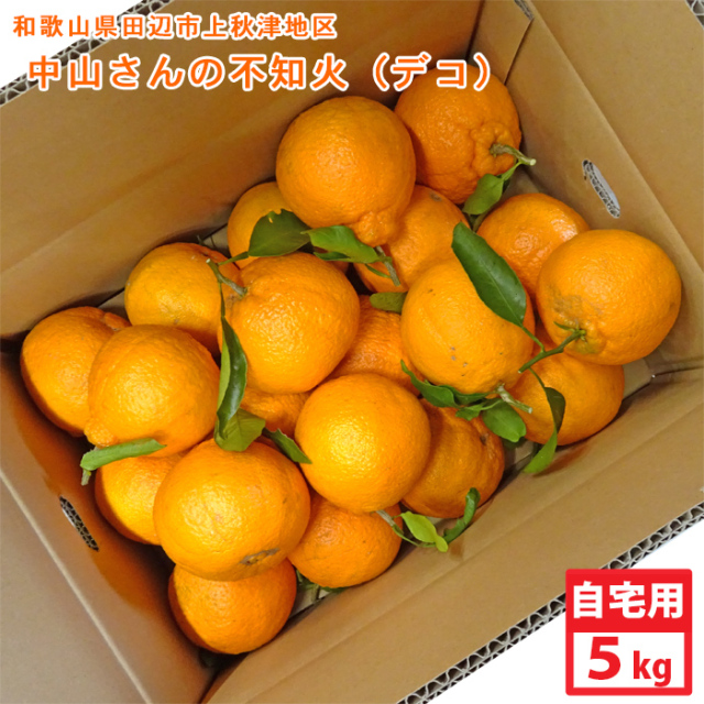 中山さんの不知火（自宅用）