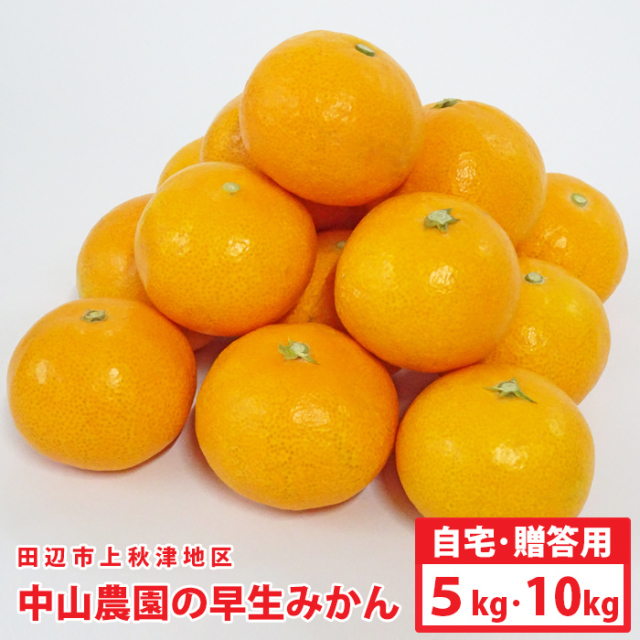 中山さんの早生温州みかん