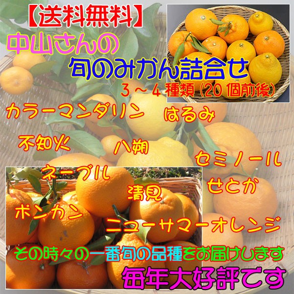 中山さんの旬のみかん詰め合わせ