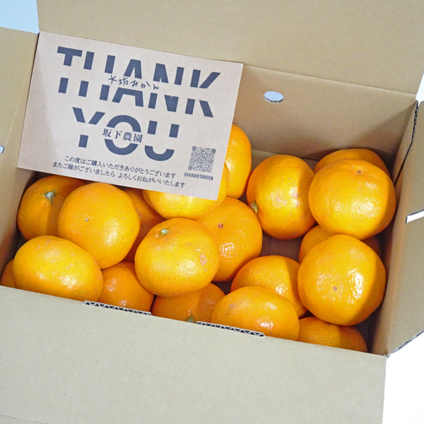 お届日指定不可 坂下農園の大坊みかん（和歌山県田辺市大坊地区の温州