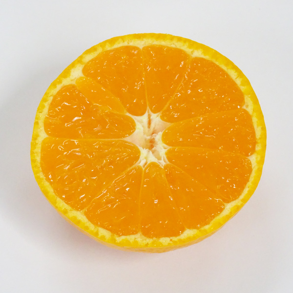 ギャッツビー　大坊みかん☆2Sサイズ☆10キロ お届日指定不可 坂下農園の大坊みかん（和歌山県田辺市大坊地区の温州