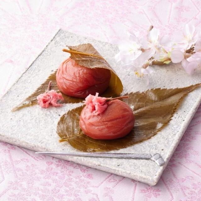 勝僖梅　さくら