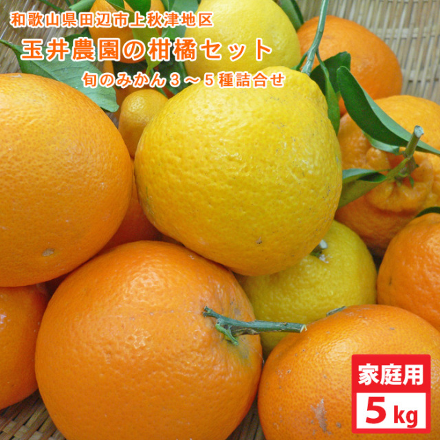 玉井農園の柑橘セット