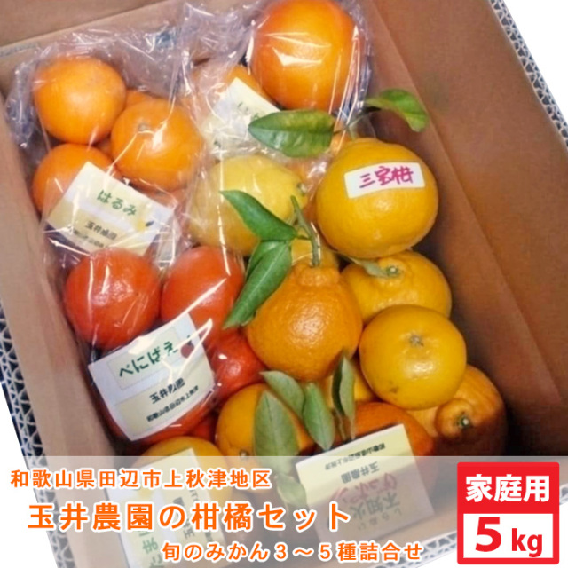 玉井農園の柑橘セット