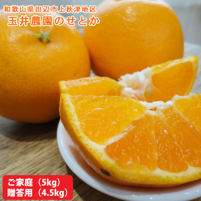 玉井農園のせとか