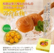 みかん梅（230g）