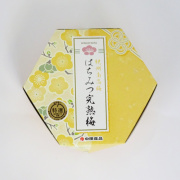 紀州南高梅はちみつ完熟梅（90ｇ）