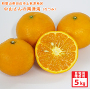 中山さんのなつみ
