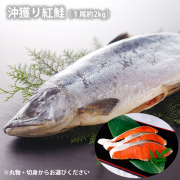 沖獲り紅鮭