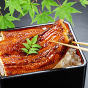 うなぎ蒲焼