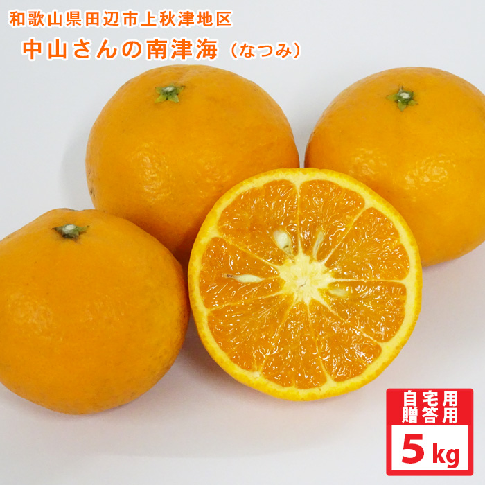 中山さんのなつみ