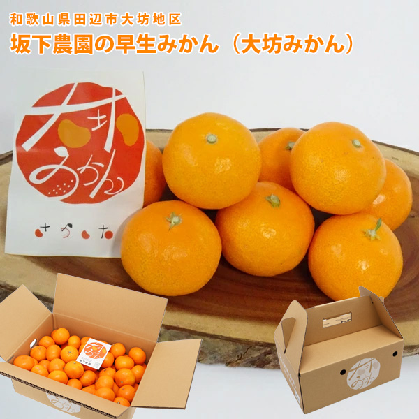 お届日指定不可 坂下農園の大坊みかん（和歌山県田辺市大坊地区の温州