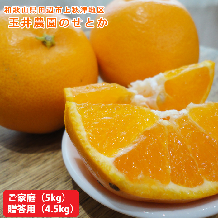 玉井農園のせとか