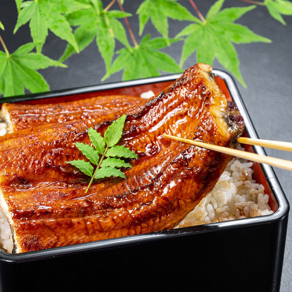 うなぎ蒲焼