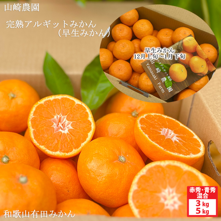 山崎農園　完熟アルギットみかん（早生）