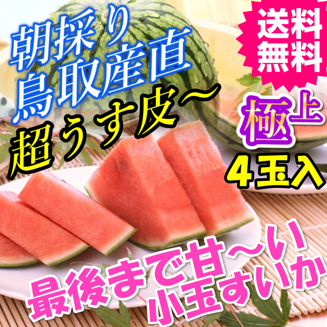 直ちゃんの小さくても甘さ満点シャリシャリ極上小玉すいか4玉 送料無料(鳥取 産地直送 ご当地グルメ　特産品 名産 プレゼント ギフト 進物 お祝い 誕生日 還暦祝い 退職祝い 通販 贈り物 お中元 ご贈答品 快気祝い お見舞い 鳥取 新築祝い 疲労回復)