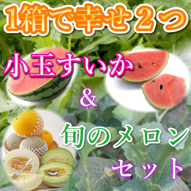 鳥取特産品甘～い大栄小玉スイカと甘～い旬のメロンセット(送料無料 ペルルメロン　タカミメロン　クレオパトラ　マルセイユメロン）