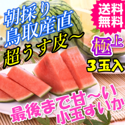直ちゃんの小さくても甘さ満点シャリシャリ極上小玉すいか3玉 送料無料(鳥取 産地直送 ご当地グルメ　特産品 名産 プレゼント ギフト 進物 お祝い 誕生日 還暦祝い 退職祝い 通販 贈り物 お中元 ご贈答品 快気祝い お見舞い 鳥取 新築祝い 疲労回復)