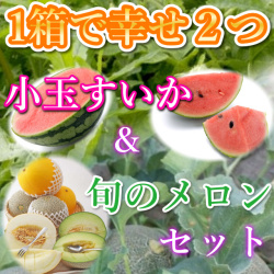 鳥取特産品甘～い大栄小玉スイカと甘～い旬のメロンセット(送料無料 ペルルメロン　タカミメロン　クレオパトラ　マルセイユメロン）