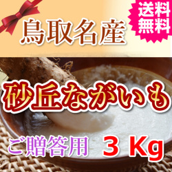 鳥取 長芋 山芋 とろろ ご飯のおとも 産地直送 産直 お取り寄せ グルメ プレゼント ギフト お歳暮 とれとれ十八番 通販