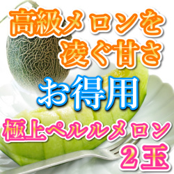 メロン|ペルルメロン|朝採り|高級メロンを凌ぐ甘さ|お得用 ２玉 |送料無料|鳥取|産地直送|プレゼント|通販