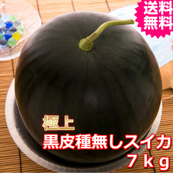 鳥取産極上黒皮種無しスイカ　２Ｌ　１玉　(送料無料　お中元）