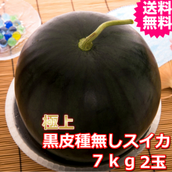 鳥取産極上黒皮種無しスイカ　２Ｌ　２玉　(送料無料　お中元）