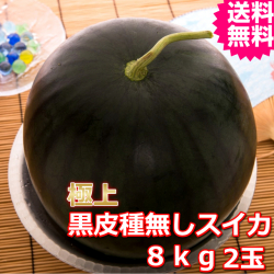 鳥取産極上黒皮種無しスイカ　３Ｌ　２玉　(送料無料　お中元）