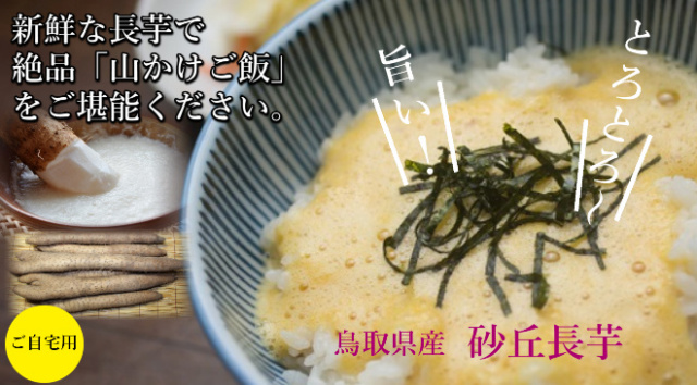 鳥取 長芋 山芋 とろろ ご飯のおとも 産地直送 産直 お取り寄せ グルメ自宅用 お試し 訳あり とれとれ十八番 通販