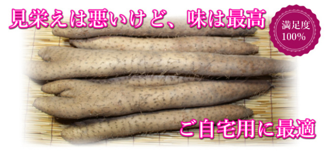 鳥取 長芋 山芋 とろろ ご飯のおとも 産地直送 産直 お取り寄せ グルメ自宅用 お試し 訳あり とれとれ十八番 通販