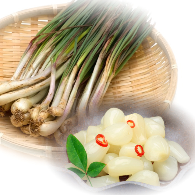 鳥取 らっきょう ラッキョウ 国産 産地直送 産直 野菜 やさい お取り寄せ グルメ プレゼント ギフト 旬 お中元 とれとれ十八番 通販