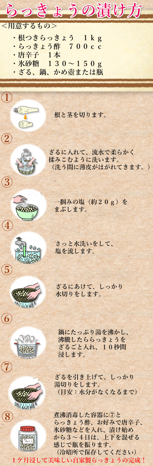 鳥取 らっきょう ラッキョウ 国産 産地直送 産直 野菜 やさい お取り寄せ グルメ プレゼント ギフト 旬 お中元 とれとれ十八番 通販
