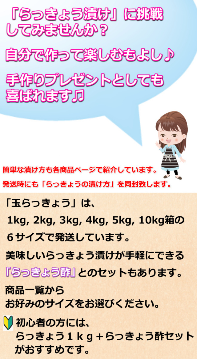 鳥取 らっきょう ラッキョウ 国産 産地直送 産直 野菜 やさい お取り寄せ グルメ プレゼント ギフト 旬 お中元 とれとれ十八番 通販