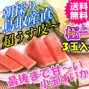 直ちゃんの小さくても甘さ満点シャリシャリ極上小玉すいか3玉 送料無料(鳥取 産地直送 ご当地グルメ　特産品 名産 プレゼント ギフト 進物 お祝い 誕生日 還暦祝い 退職祝い 通販 贈り物 お中元 ご贈答品 快気祝い お見舞い 鳥取 新築祝い 疲労回復)