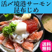 日本海活〆境港サーモンの昆布じめ　送料無料