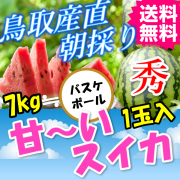 鳥取産直　朝採り甘～い大栄スイカ 秀２L　７ｋｇ　１玉